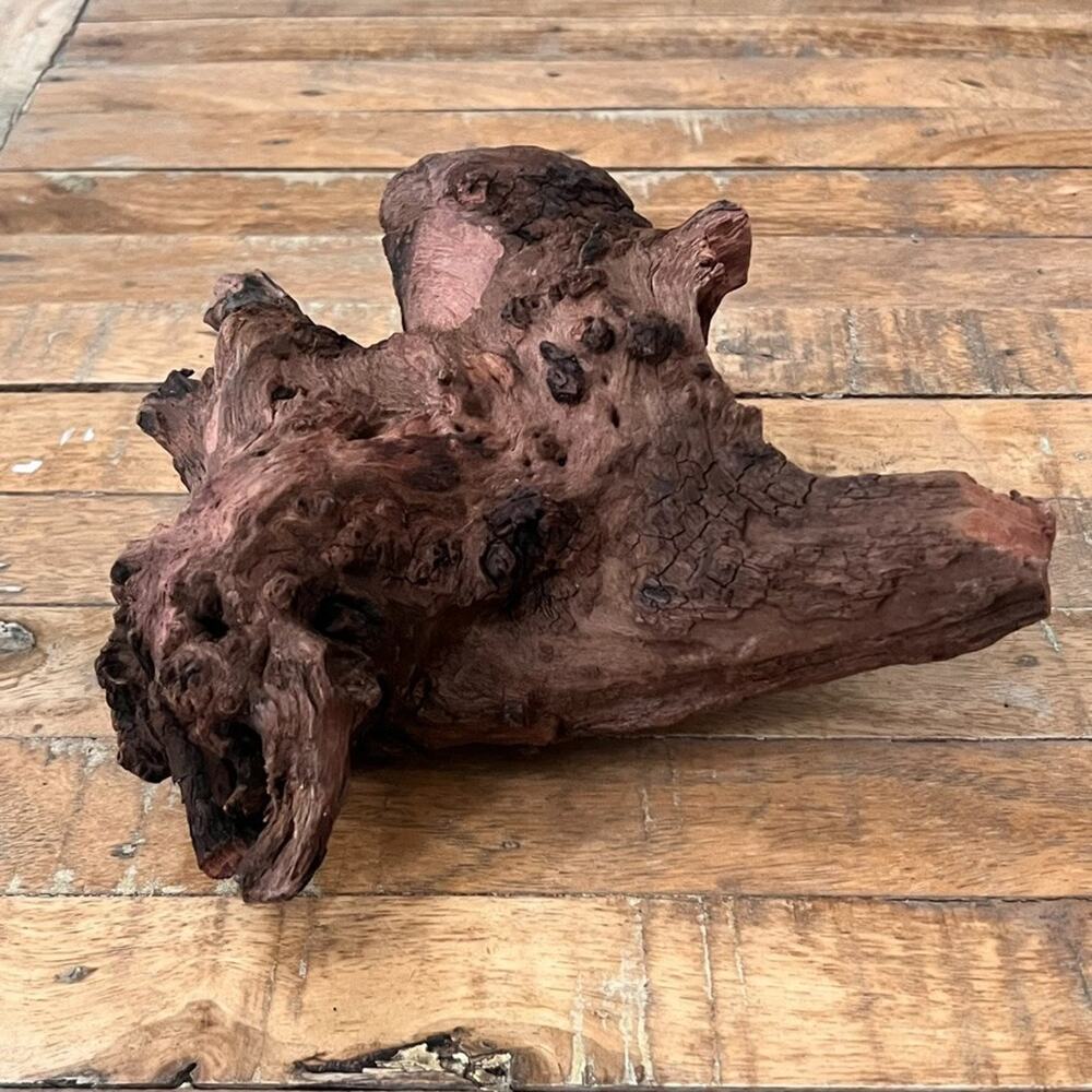 Textured Natural Wood 8" Home Decor Aquarium Air Plant